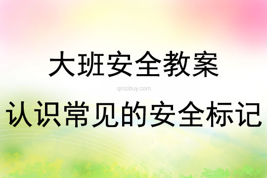 大班安全公開課認識常見的安全標記教案反思