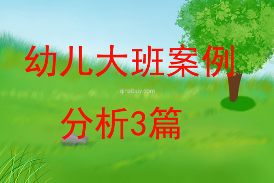 幼兒大班案例分析3篇