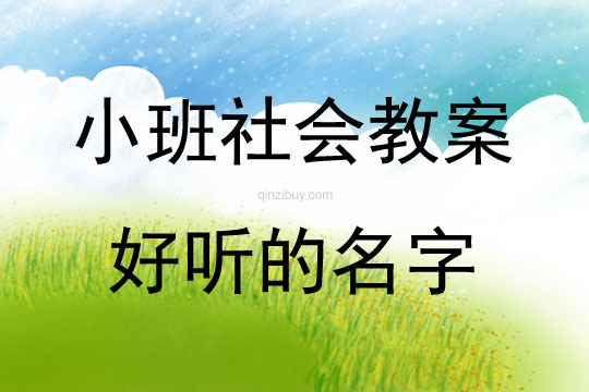 小班社會活動好聽的名字教案反思