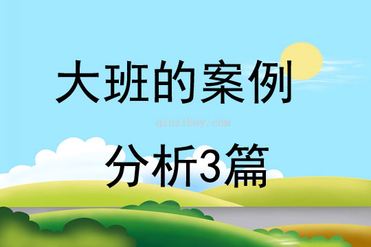 大班的案例分析3篇