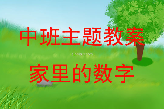 中班集體活動家里的數字教案