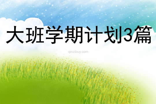 大班學期計劃3篇
