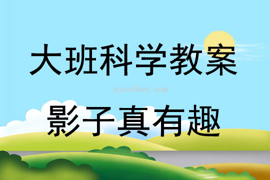 大班科學活動影子真有趣教案反思