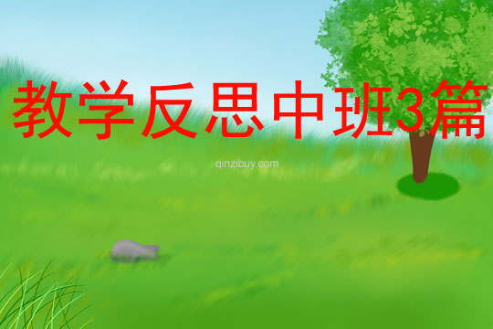 教學反思中班3篇