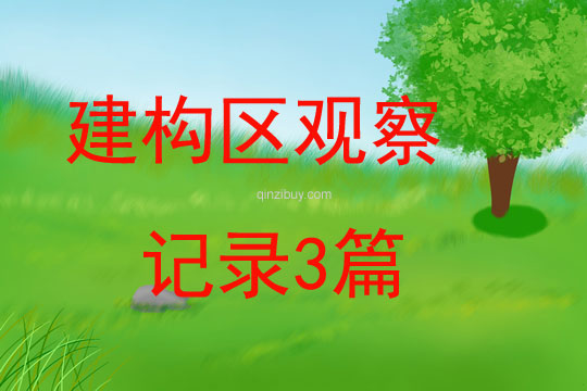 建構區觀察記錄3篇