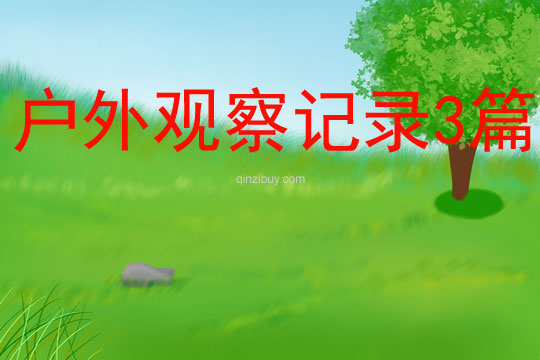 戶外觀察記錄3篇