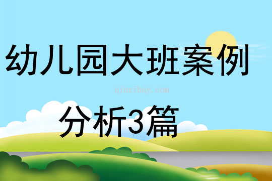幼兒園大班案例分析3篇