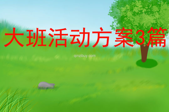 大班活動方案3篇