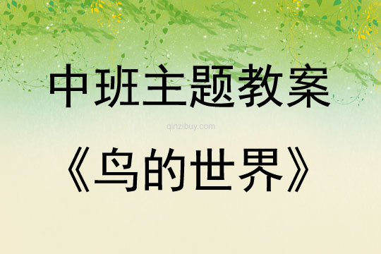 中班綜合鳥(niǎo)的世界教案反思