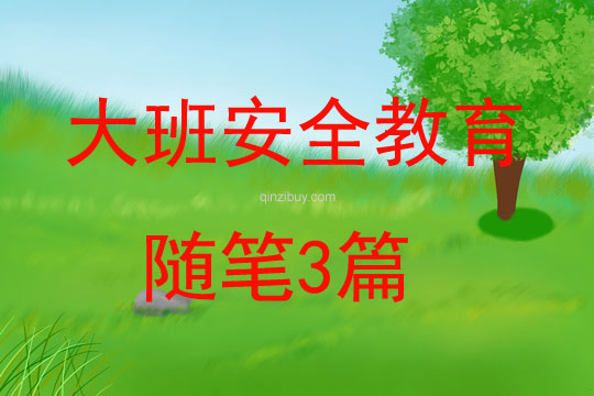 大班安全教育隨筆3篇