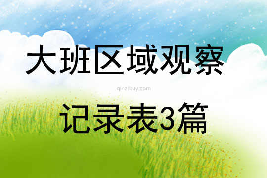 大班區域觀察記錄表3篇