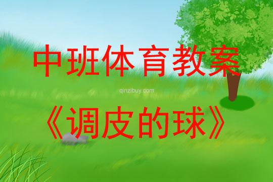 中班體育活動調皮的球教案反思