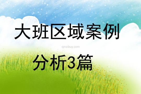 大班區域案例分析3篇
