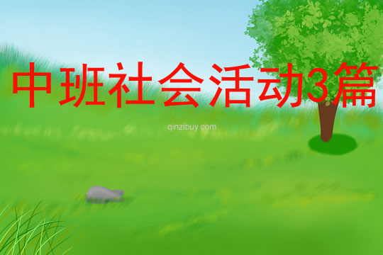 中班社會活動3篇