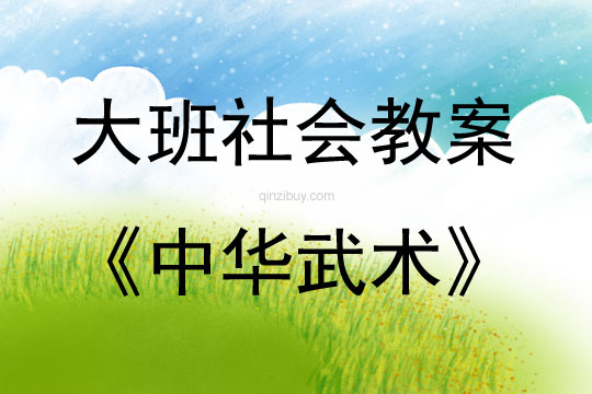 大班社會綜合活動中華武術教案反思