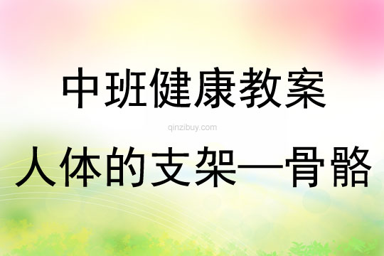 中班健康公開課人體的支架——骨骼教案反思