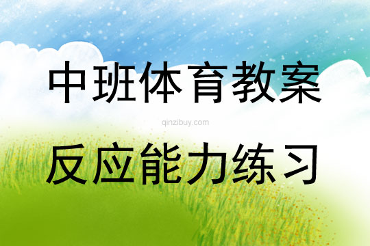 中班體育活動反應能力練習教案反思