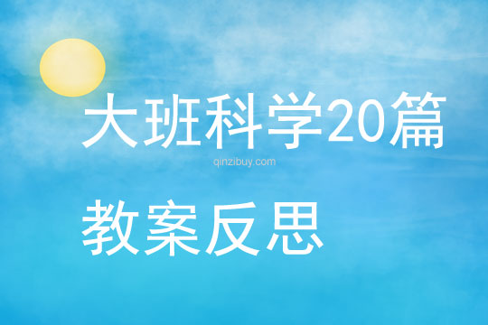 大班科學20篇教案反思