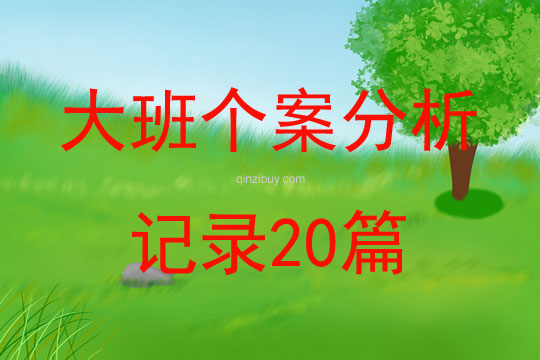 大班個案分析記錄20篇