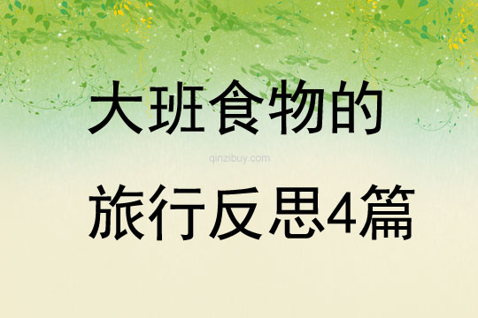 大班食物的旅行反思4篇