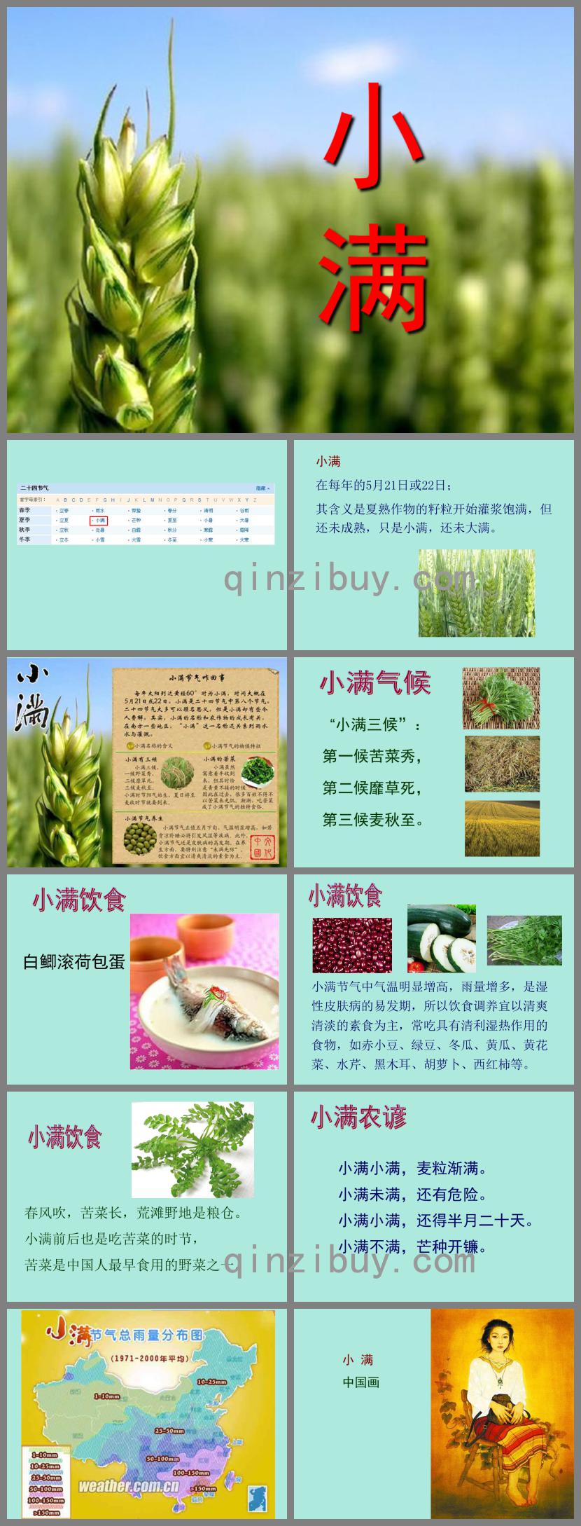 幼兒園24節氣小滿PPT課件