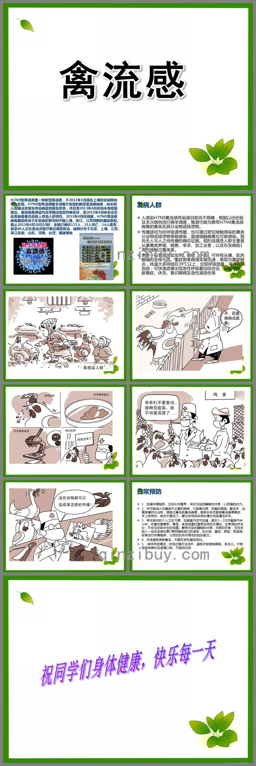 幼兒園禽流感PPT課件