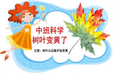 中班科學樹葉變黃了PPT課件