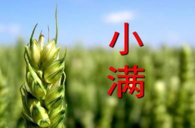幼兒園24節氣小滿PPT課件