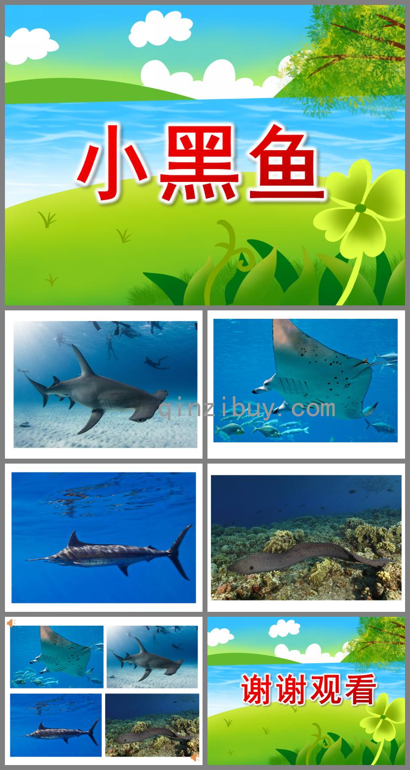 大班親子韻律小黑魚PPT課件配樂