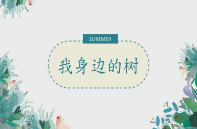 中班我身邊的樹PPT課件