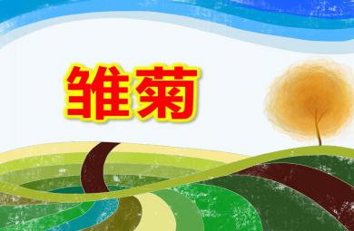小班繪畫雛菊PPT課件