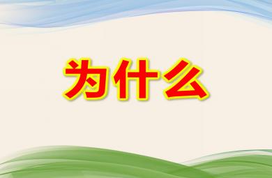 大班歌曲為什么PPT課件
