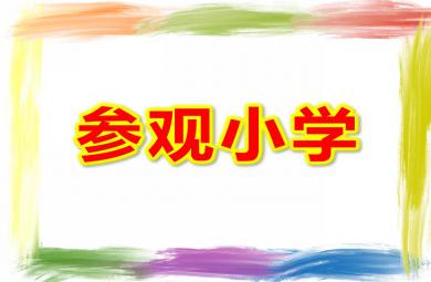 大班社會參觀小學PPT課件