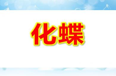大班音樂(lè)化蝶PPT課件