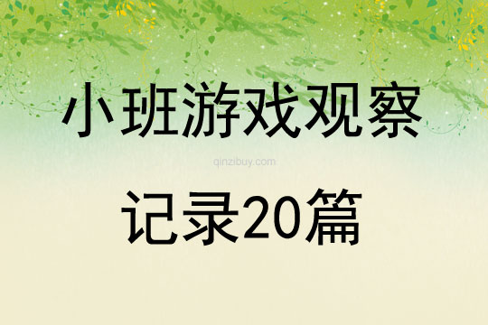小班游戲觀察記錄20篇