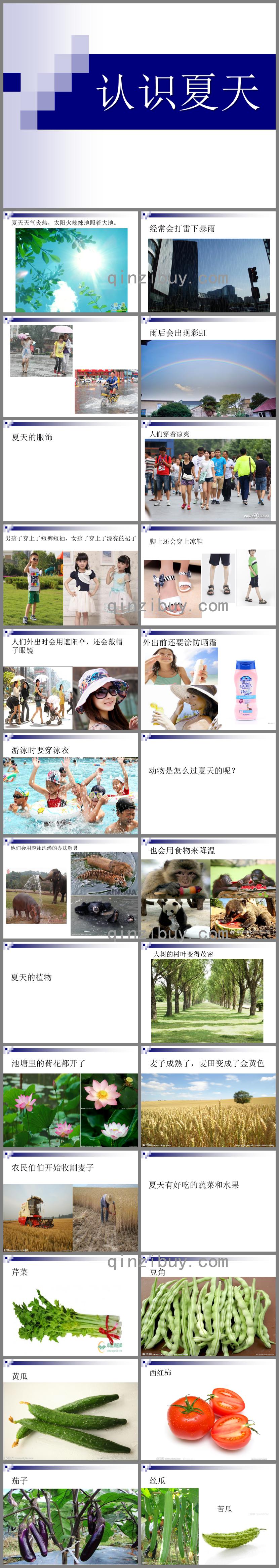 大班科學認識夏天PPT課件