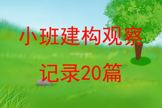 小班建構觀察記錄20篇