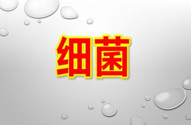 幼兒園細菌PPT課件