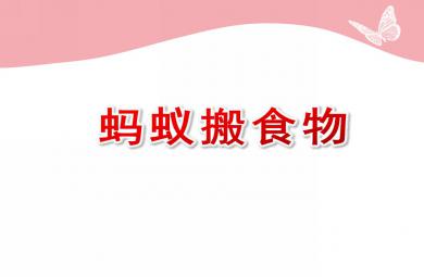 小班科學螞蟻搬食物PPT課件