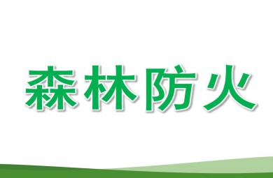 幼兒園森林防火安全PPT課件