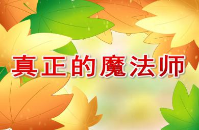 中班數(shù)學活動真正的魔法師PPT課件