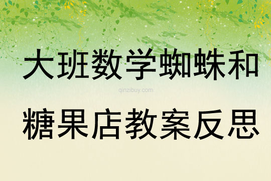 大班數學活動蜘蛛和糖果店教案反思
