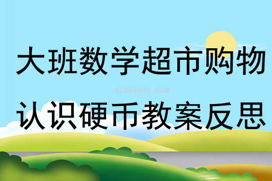 大班數學活動超市購物認識硬幣教案反思