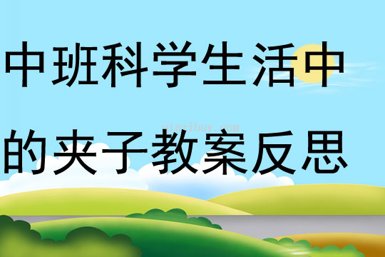 中班科學生活中的夾子教案反思