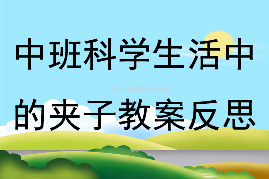中班科學(xué)怎樣讓球動起來教案反思