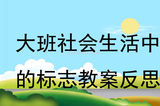 大班社會公開課生活中的標志教案反思