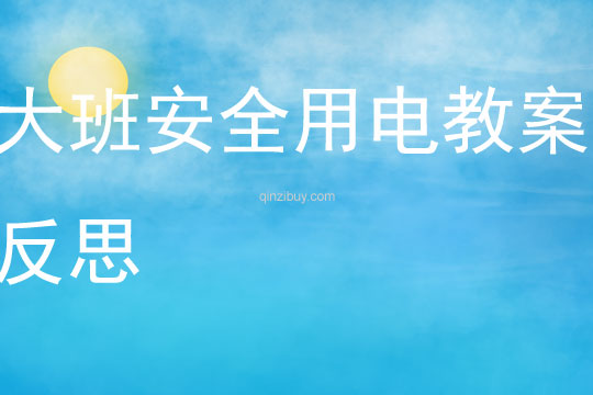 大班安全用電教案反思