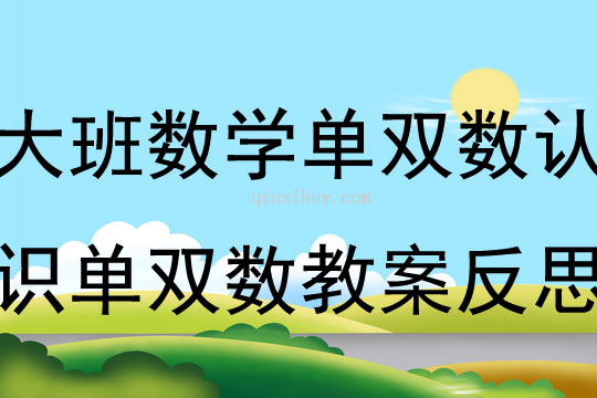 大班數學單雙數 認識單雙數教案反思