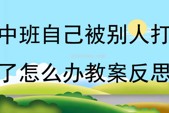 中班社會活動自己被別人打了怎么辦教案反思