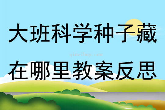 大班科學種子藏在哪里教案反思